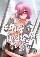 [フルカラーイラスト集]女サーヴァント大集合