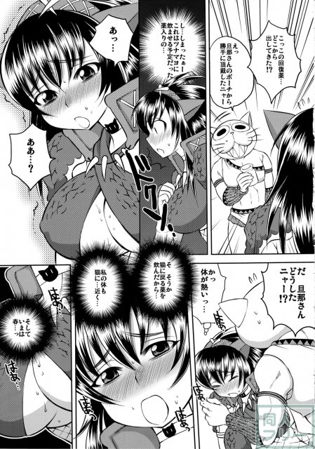ナルガさんクエスト【R】 <> 010