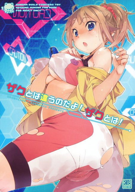 ザクとは違うのだよ！ザクとは！ <> 1
