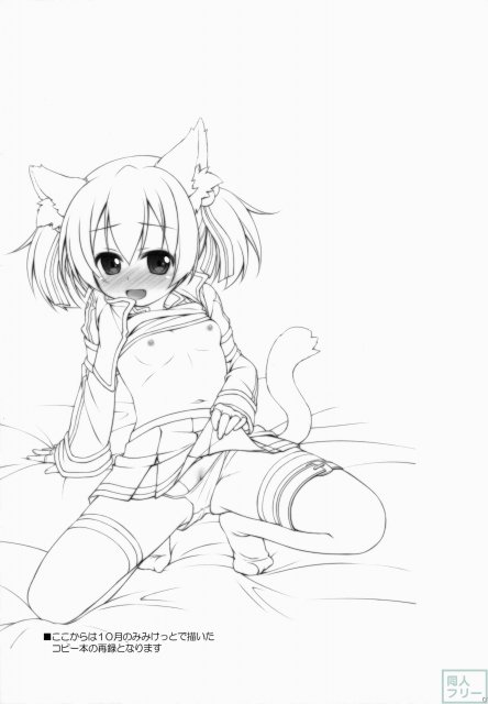 様々なコス姿で凌辱エッチの快楽に溺れるシリカ <> 018