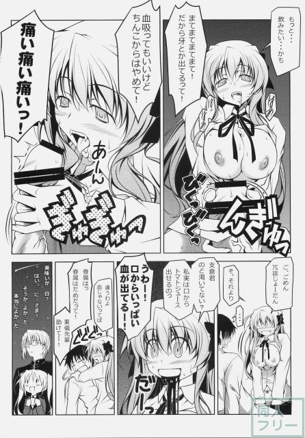 エリカインパクト <> 023
