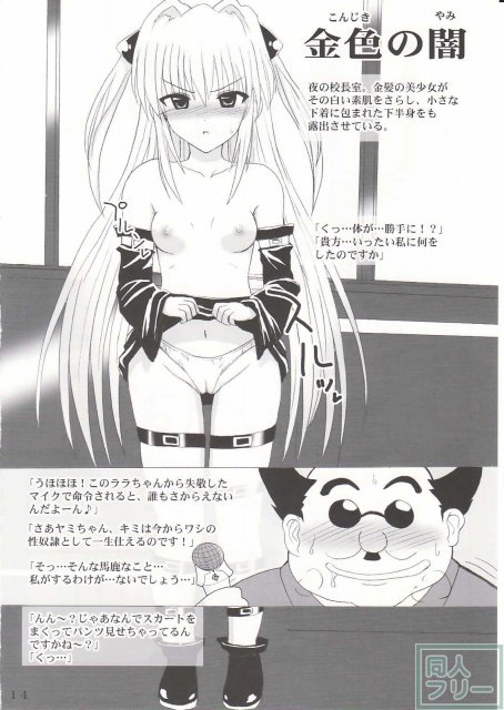 コンジキミカン <> 013