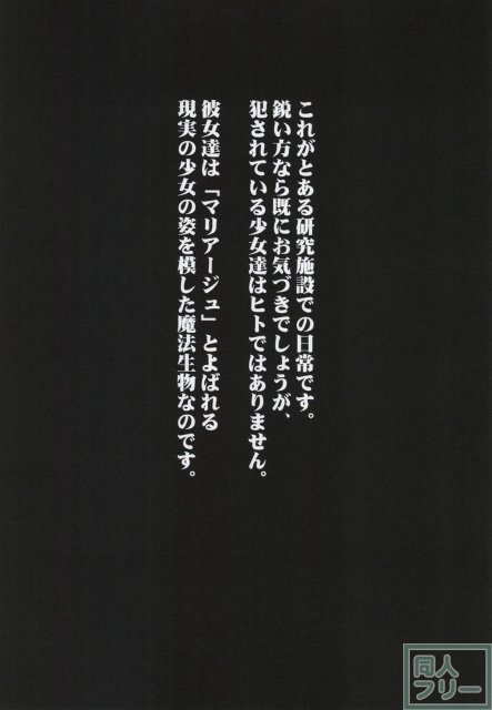 X Report-結実- <> 012