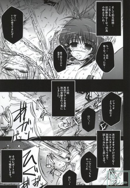 X Report-結実- <> 028