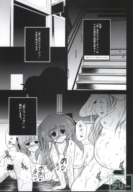 X Report-結実- <> 038