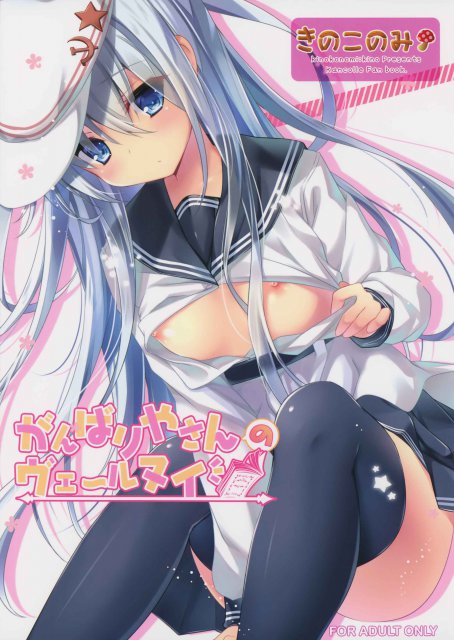 がんばりやさんのヴェールヌイ <> 1