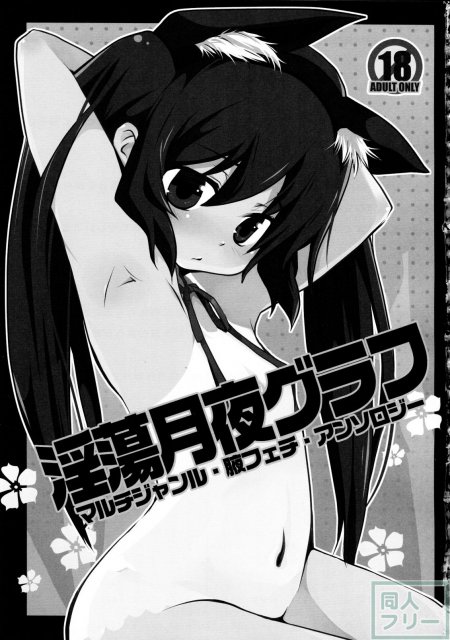 淫蕩月夜グラフ <> 002