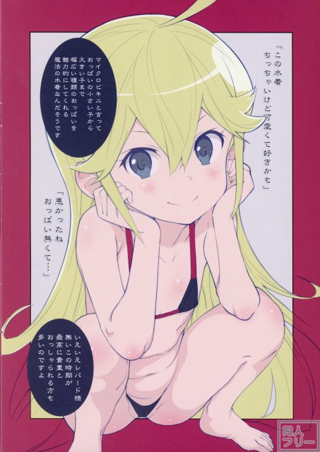 レパード様がイメージビデオ撮影で無邪気に頑張るちょっとHなフルカラーイラスト本 <> 004