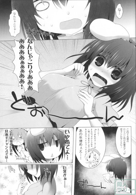 幻想郷乳図鑑・兎 <> 014