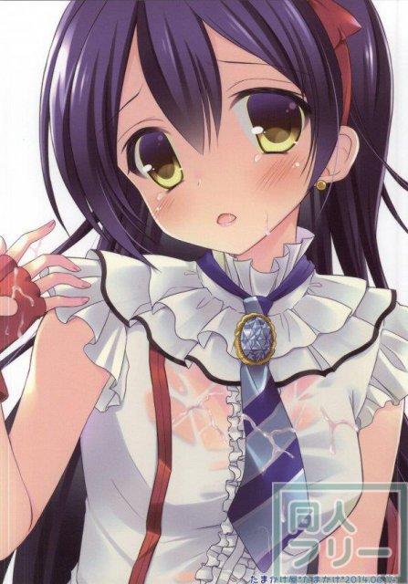 穂乃果のことを想いながらオナニーしていたらファンに犯されちゃった海未ちゃん <> 018