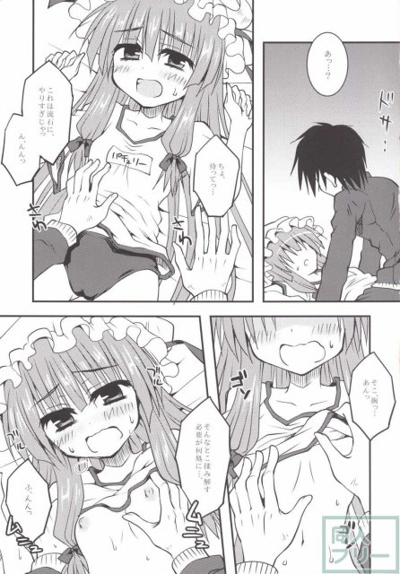 パチュと保健体育がんばるほん <> 012