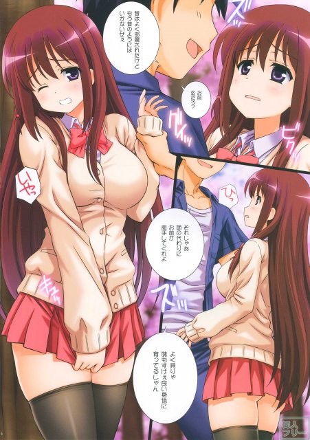 CHERRY SISTER BLOSSOM <> 004