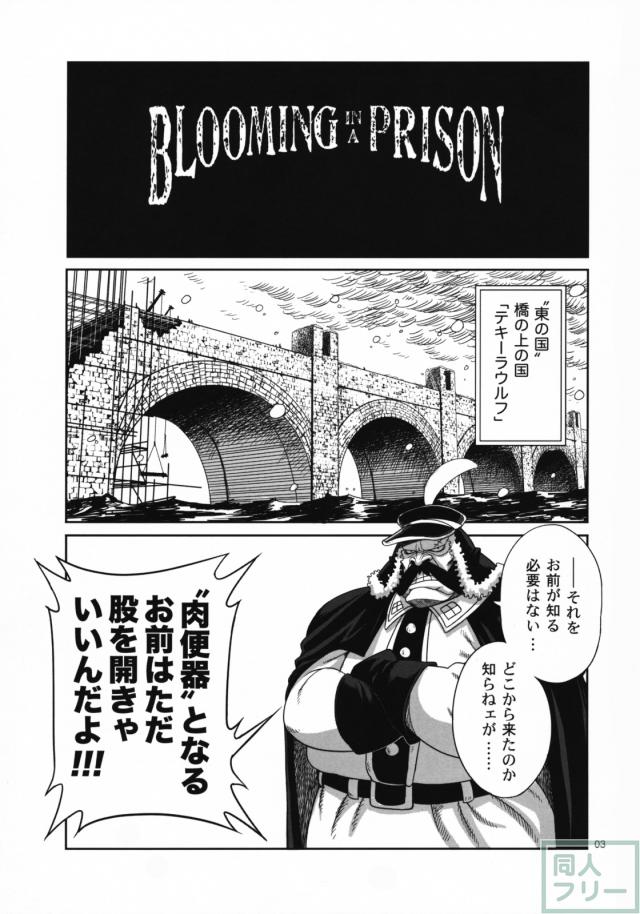 爆乳ロビンの肉便器本!! <> 002