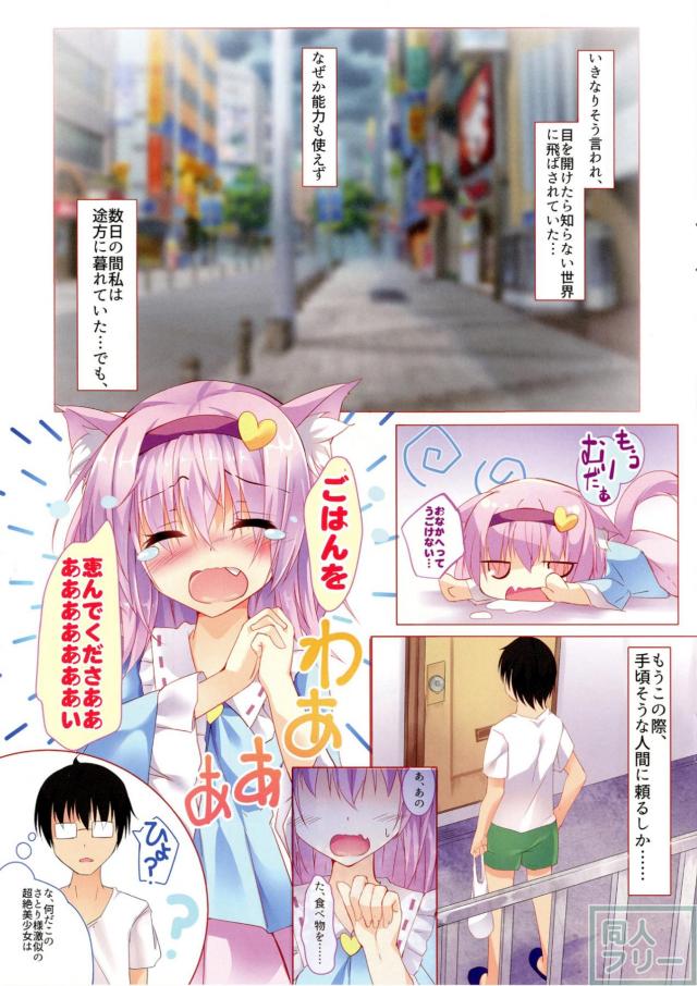 にゃとりさま、拾いました。 <> 004
