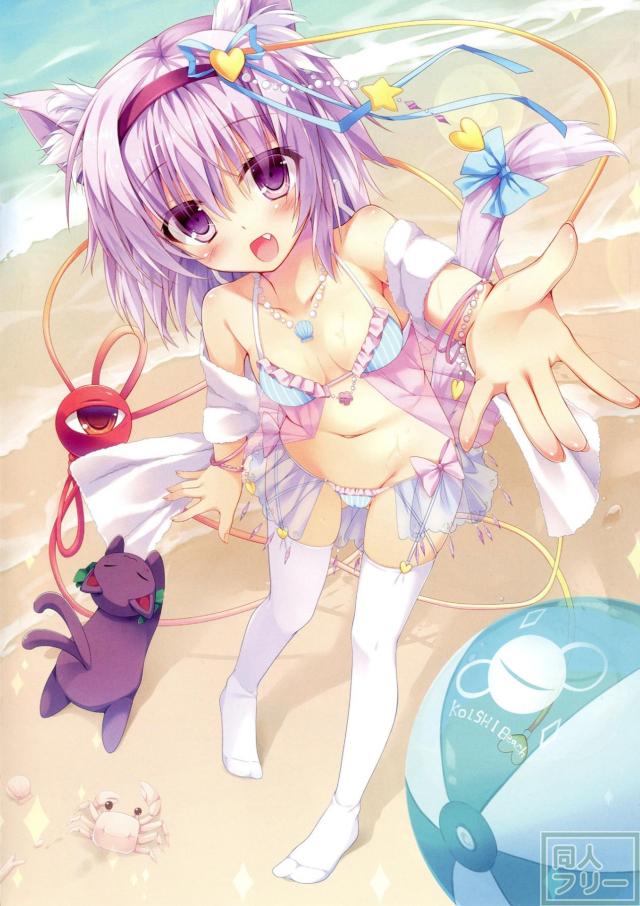 にゃとりさま、拾いました。 <> 015