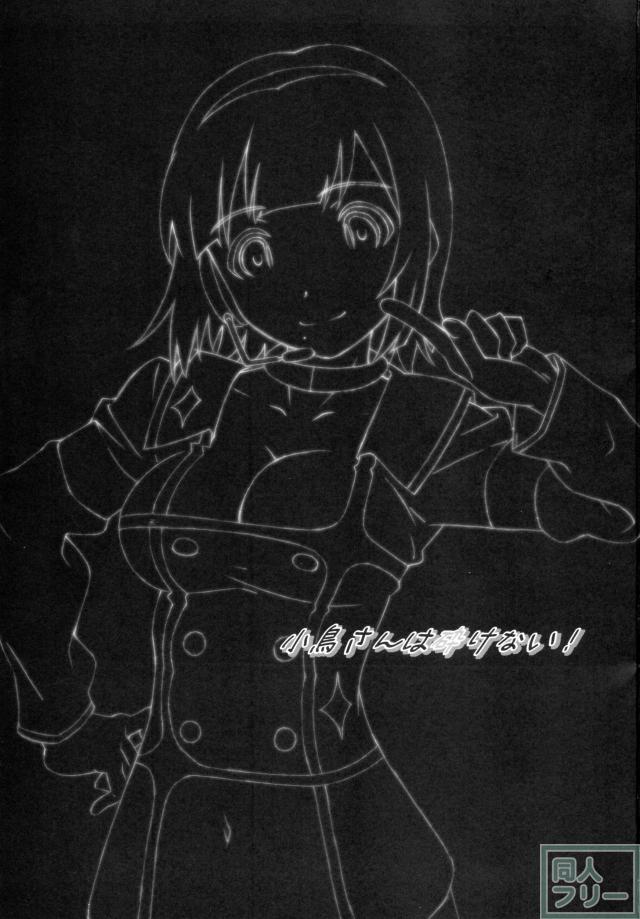小鳥さんは砕けない! <> 002