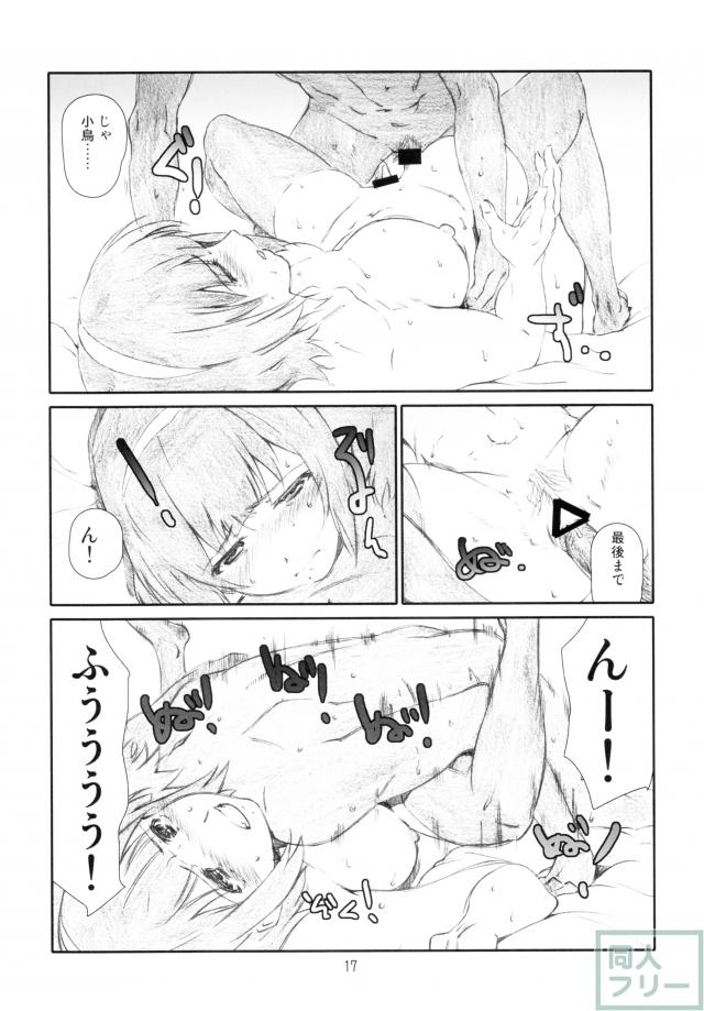 小鳥さんは砕けない! <> 016