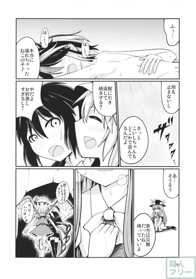 こころがこいしに神子に対する悩みを打ち明ける <> 035
