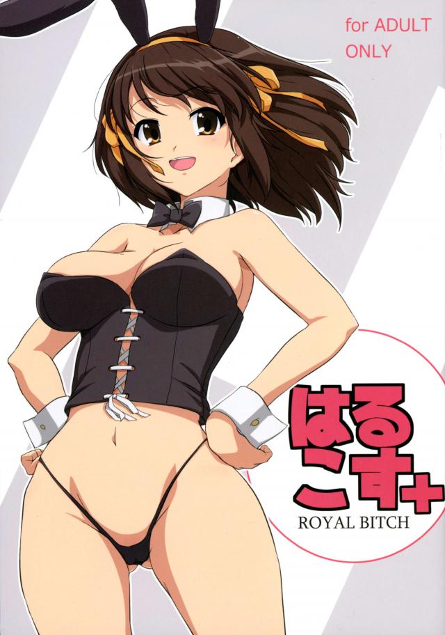 全編フルカラーでハルヒのコスプレイラスー集＋ <> 1