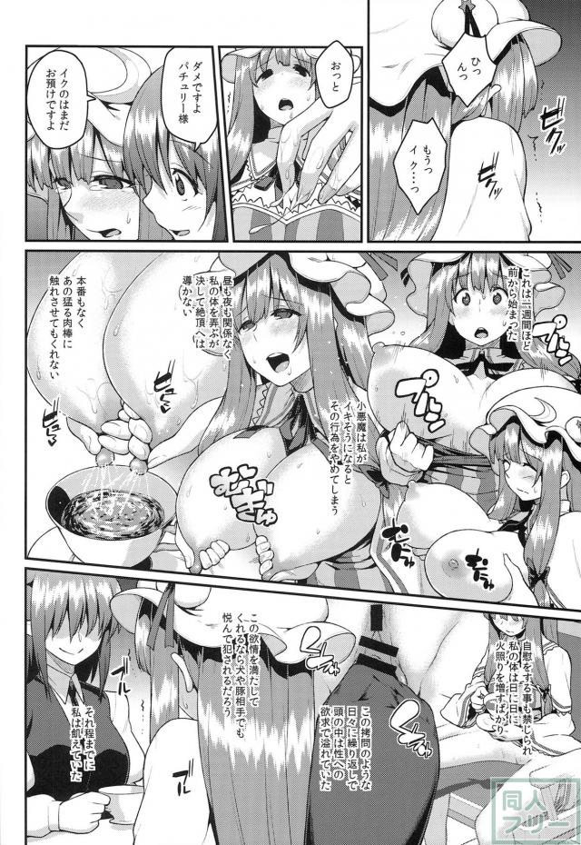 小悪魔の策略によって見事な雌奴隷へと変貌を遂げたパチュリー <> 003