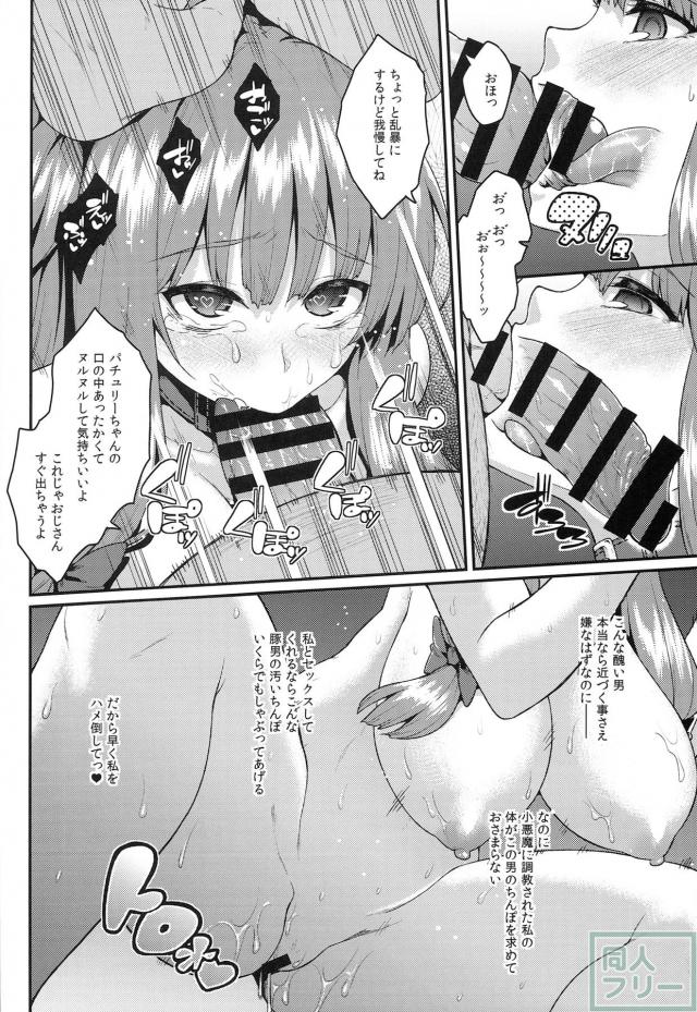 小悪魔の策略によって見事な雌奴隷へと変貌を遂げたパチュリー <> 011