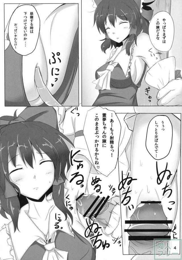 霊夢さん裏取材記録 <> 003