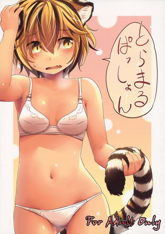 とらまるぱっしょん <> 1