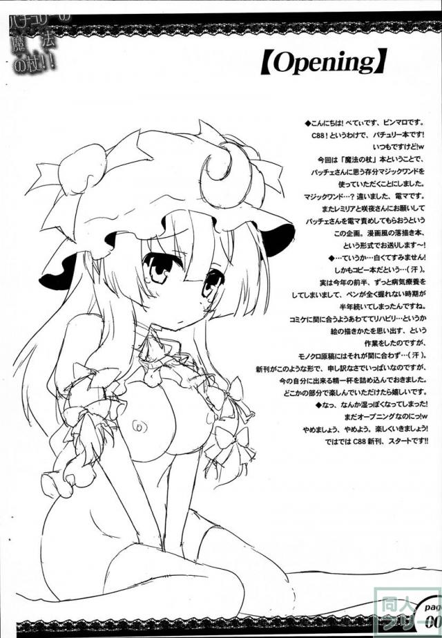 パチュリーの魔法の杖 <> 003