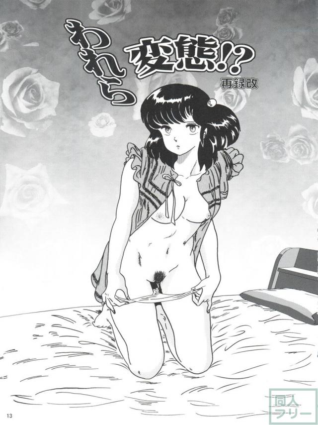Fairy 18 <> 012