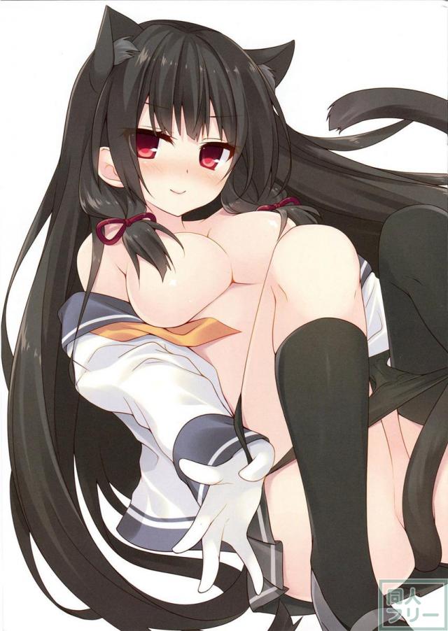 磯風猫化作戦 <> 003