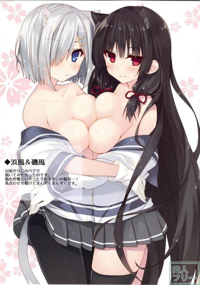 磯風猫化作戦 <> 013