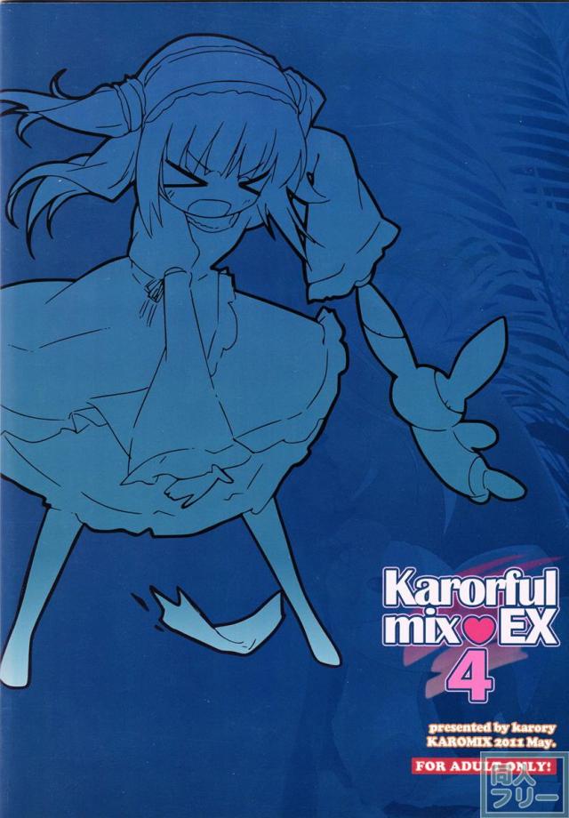 Karorful mix EX4 <> 017