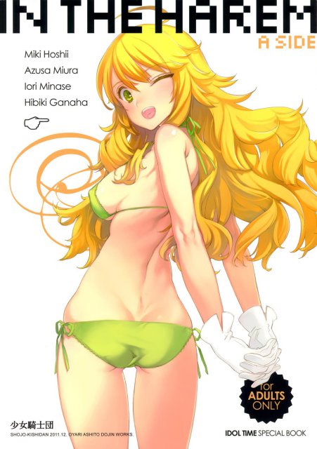 IN THE HAREM A SIDE <> 1