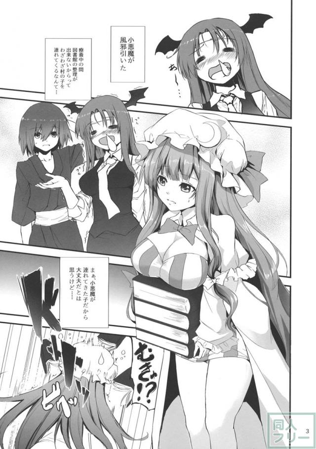 すみませんっパチュリーさまっ! <> 002
