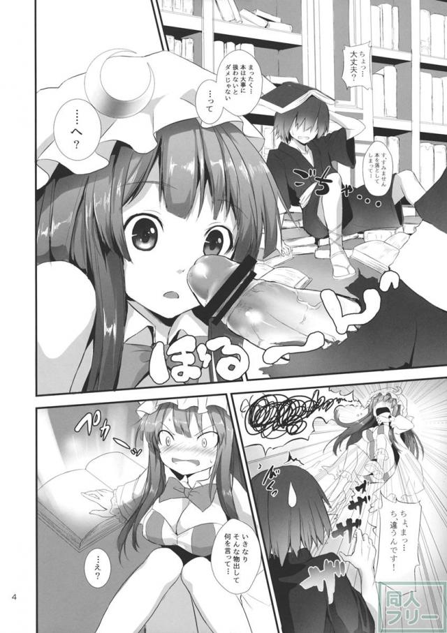 すみませんっパチュリーさまっ! <> 003