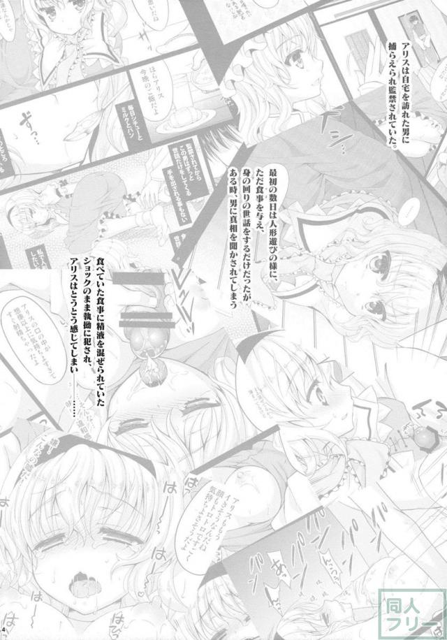 人形遣いの宴・中 <> 004