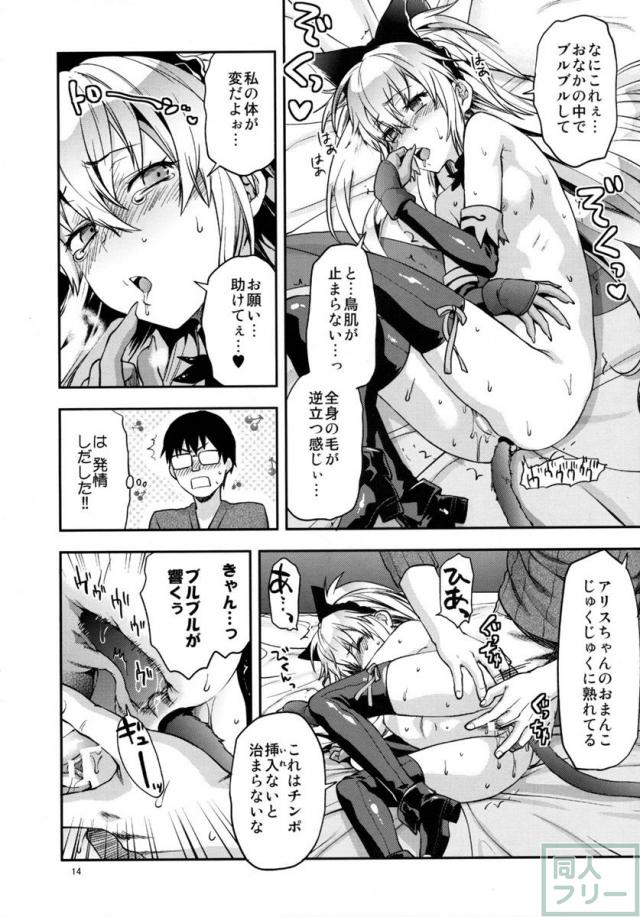 シャドウアリス本 <> 013