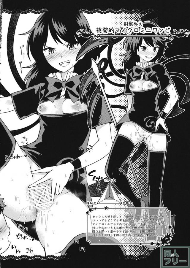 かってに魔改造〜星蓮船編〜 <> 015