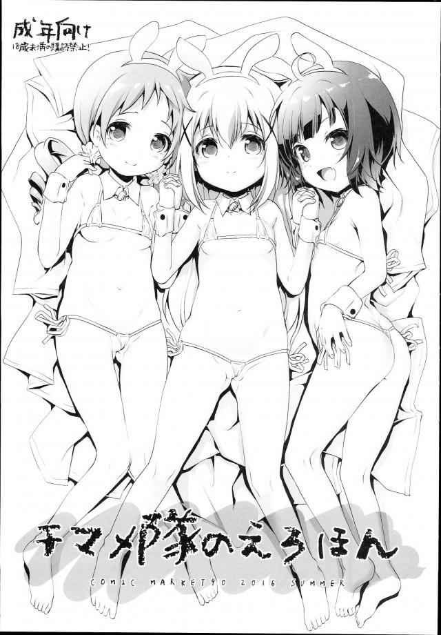 ちまめ隊のえろほん <> 1