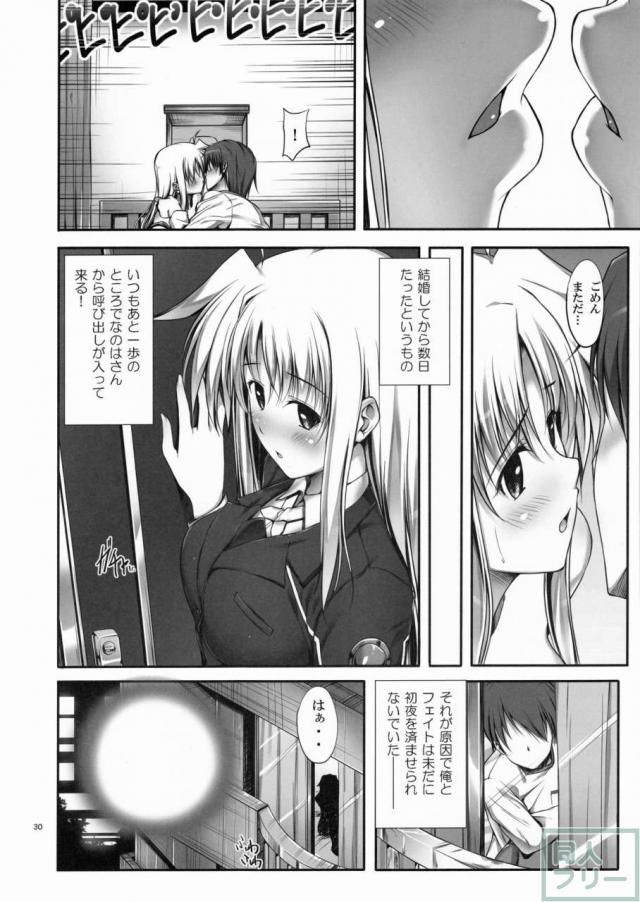 HSHシリーズ総集編です。フェイト編1、2、なのは編、シグナム編、ティアナ編、番外編1,2を収録。描き下ろしはティアナ編の後日談 <> 029