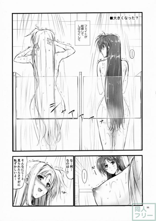 HSHシリーズ総集編です。フェイト編1、2、なのは編、シグナム編、ティアナ編、番外編1,2を収録。描き下ろしはティアナ編の後日談 <> 054