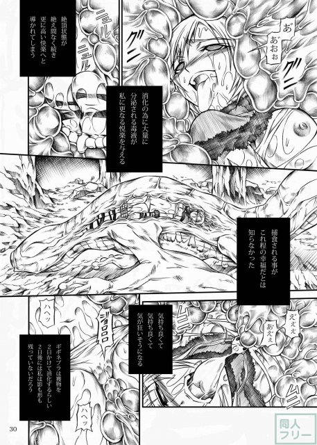 モンハンドロドロ異種姦陵辱シリーズ1 <> 029