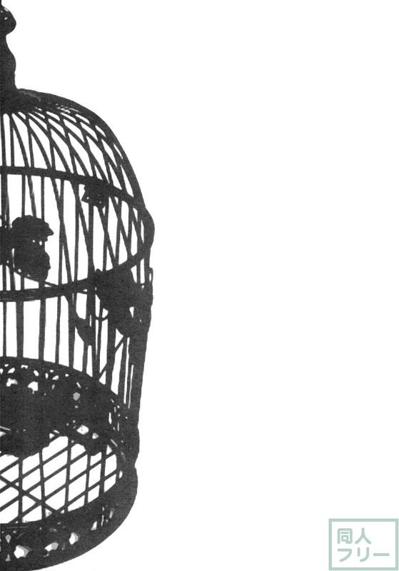 IDOLTIME SPECIAL BOOK YUKIHO HAGIWARA in the Bird Cage <> 027