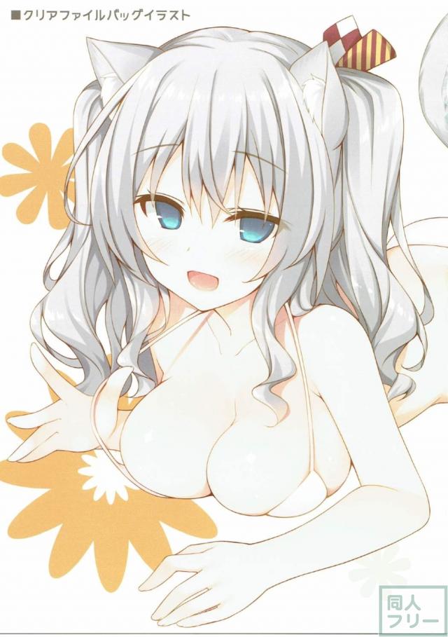 鹿島猫化作戦 <> 016