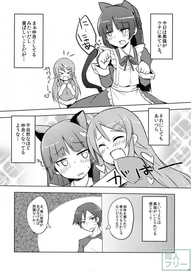 黒猫が桐乃にいじられる本 <> 003