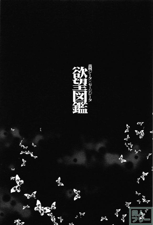 義賊ジータ×セージジータ 欲望図鑑 <> 004