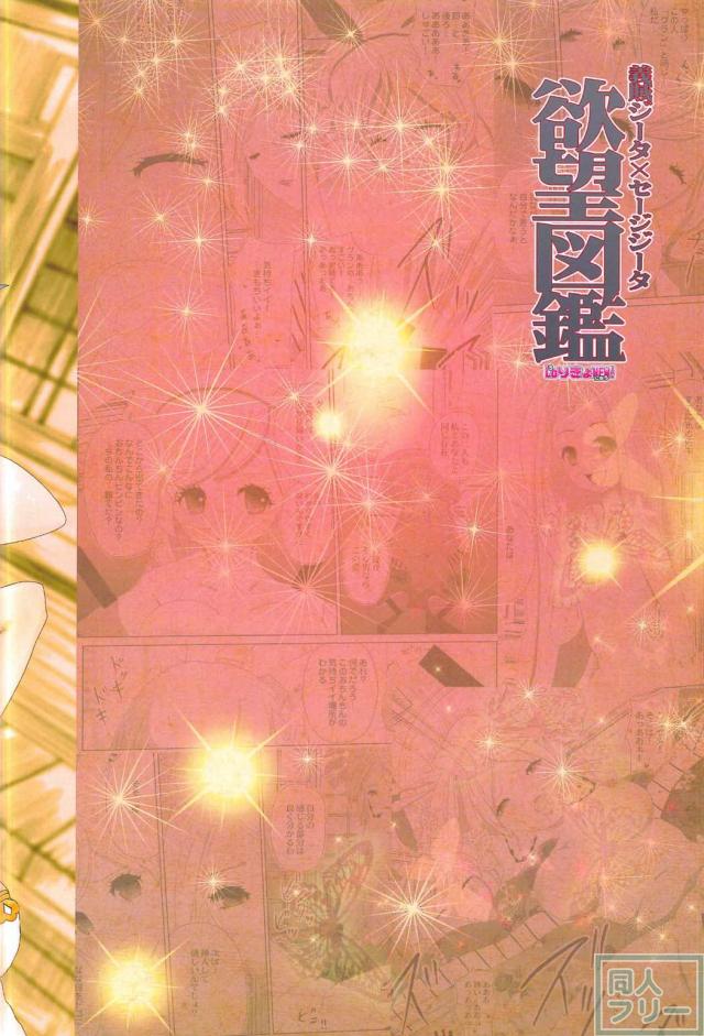 義賊ジータ×セージジータ 欲望図鑑 <> 020