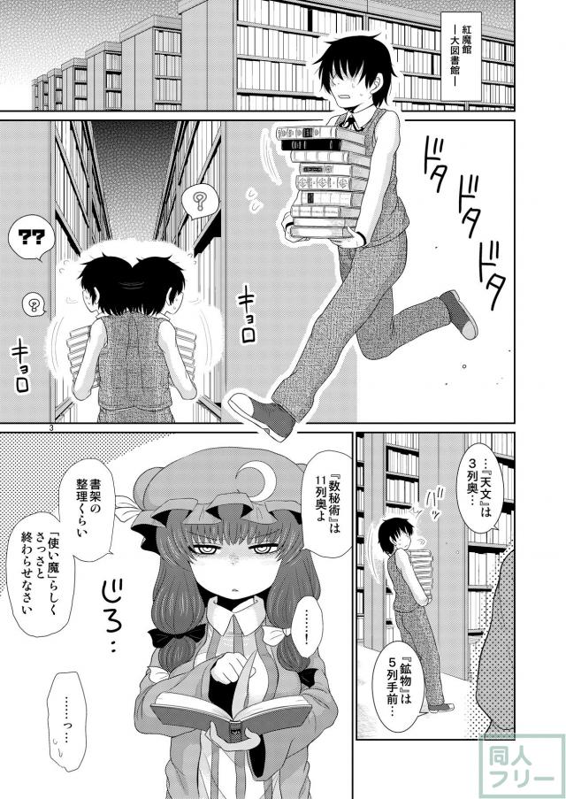 催淫魔法が誤発動してしまいムラムラが止まらなくなったパチュリーちゃんの本 <> 002