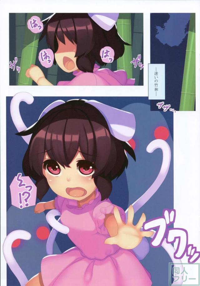 ふたなり鈴仙がオカルト能力を駆使しててゐに性的なお仕置きをするフルカラー本 <> 002