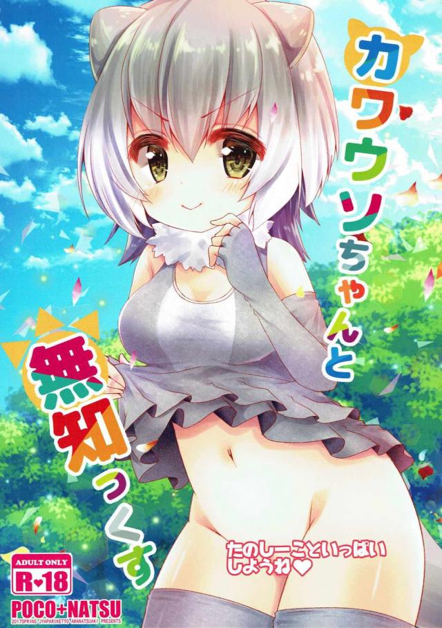 何知らないカワウソちゃんにえっちごっこを教えてあげる <> 1